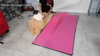 Teddy Bear Vacuum Bed