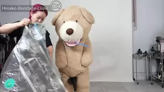 Teddy Bear Compressed in Space Bag