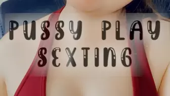 Pussy Play Sexting Session 2