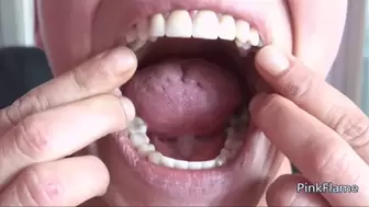 Explore my mouth [PIPER],