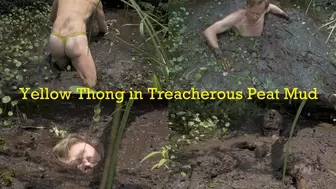 Yellow Thong in Treacherous Peat Mud, 2019-06-19