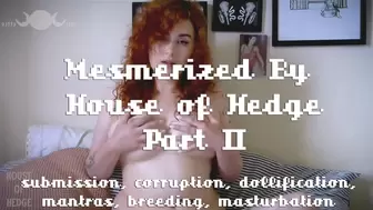 Mesmerized by House of Hedge - Part II