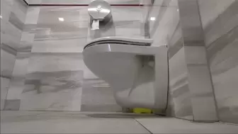 4 day Toilet-Work Little Compilation