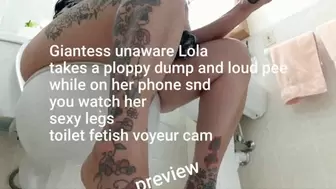 Giantess unaware Lola takes a ploppy dump and loud pee while on her phone and you watch her sexy legs toilet fetish voyeur cam avi