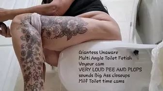 Giantess Unaware Multi Angle Toilet Fetish Voyeur cam VERY LOUD PEE AND PLOPS sounds Big Ass closeups Milf Toilet time cams avi