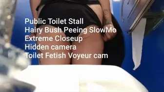 Public Toilet Stall Suatting Piss Hairy Bush Peeing SlowMo Extreme Closeup Hidden camera Toilet Fetish Voyeur cam