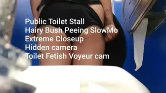 Public Toilet Stall Suatting Piss Hairy Bush Peeing SlowMo Extreme Closeup Hidden camera Toilet Fetish Voyeur cam 480p