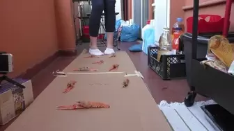 Italian girlfriend - cooked shrimps crush fetish in socks