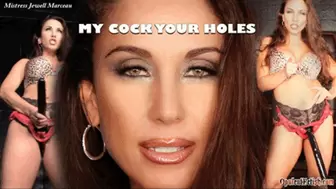 My Cock Your Holes