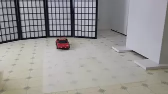 Neighbor's toy car - rc Lamborghini (view01)