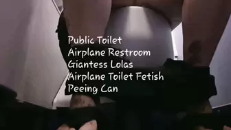 Public Toilet Airplane Restroom Giantess Lolas Airplane Toilet Fetish Peeing Cam avi