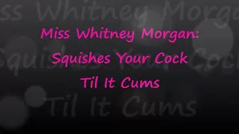 Miss Whitney Morgan Squishes Your Cock To Cum - wmv
