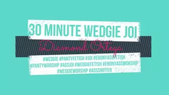 30 Minute Wedgie JOI