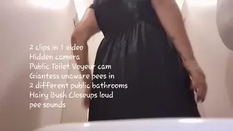 2 clips in 1 video Hidden camera Public Toilet Voyeur cam Giantess unaware pees in 2 different public bathrooms Hairy Bush Closeups loud pee sounds