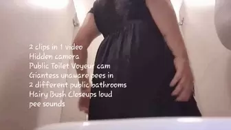 2 clips in 1 video Hidden camera Public Toilet Voyeur cam Giantess unaware pees in 2 different public bathrooms Hairy Bush Closeups loud pee sounds avi