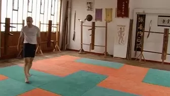 Panther in a Dojo