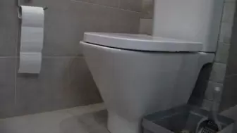 mp4 toilet miss