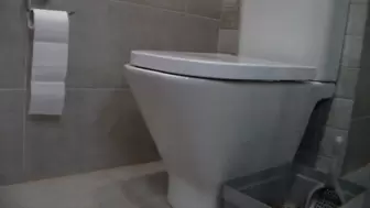wmv ass toilet home sit