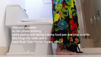 Giantess unaware on her phone working while peeing and taking a dump loud pee and plop sounds She Clogs the toilet and it wont flush Toilet Fetish Voyeur cam