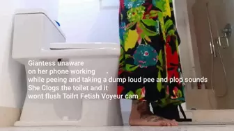 Giantess unaware on her phone working while peeing and taking a dump loud pee and plop sounds She Clogs the toilet and it wont flush Toilet Fetish Voyeur cam avi
