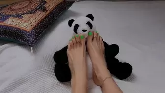 Soft trampling for Panda toy