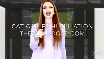 Cat Caller Humiliation (4K)