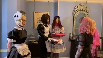 New Household Sissy Maid Part 5