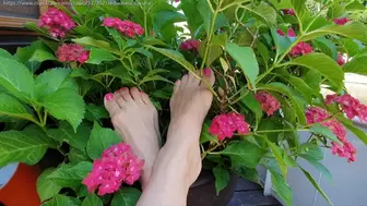 Perfectly shaped bare feet