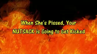 When She's Pissed, Your Nutsack Is Going to Get Kicked (HD WMV format)