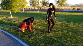 Walking My puppy subs through a public park