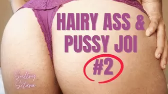 Hairy Ass and Pussy JOI #2 HD Version (1920x1080)