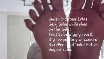 under Giantess Lolas Sexy Soles while shes on the toilet Feet Soles Wiggly Toes& Big toe pointing at camera Barefeet and Toilet Fetish Voyeur cams avi