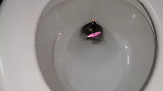 Giantess Lola invites her Ex Boyfriends Surfer GF for coffee and puts a shrinking potion in it Making her tiny and helpless throwing her into the toilet and Peeing on her So She can Ride a Wave of Piss and Flushing her into the sewer sd