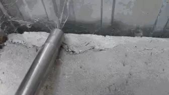 ORDER vacuuming cobwebs