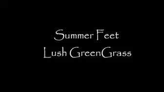 Summer Green Grass Play