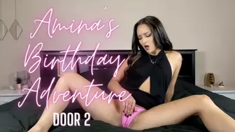 Amina's Birthday Adventure - Door 2