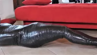 The boss mummified, tricked and blanketed-MP4