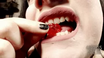 Slicing and chomping up gummy bears WMV