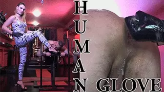 HUMAN GLOVE mobile version