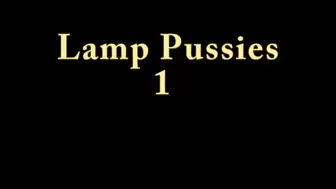 Lamps And Pussies 1
