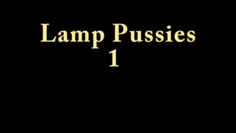 Lamps And Pussies 1 WMV