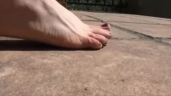 Ants crush by Christine's feet