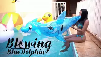 Blowing Cute Dolphin on the pool by Dani - 4K