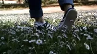 I film my girlfriend tramples lot of little flowers