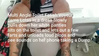 Multi Angle Toilet Fetish Voyeur cams Lolas in a dress Slowly pulls down her white panties sits on the toilet and lets out a few farts and unloads loud plops and pee sounds on her phone taking a Dump