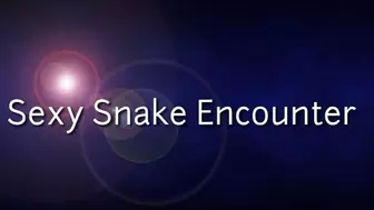 Sexy Snake Encounter
