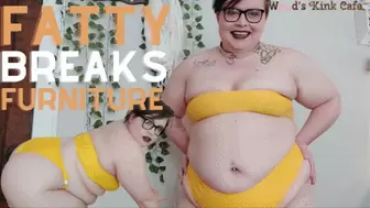 Fatty Breaks Furniture - WMV