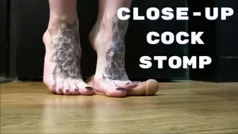 Close Up Cock Stomping wmv