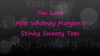 Whitney Morgan: Stinky Sweaty Toe Tease - mp4