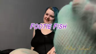 Footie Fish (wmv)